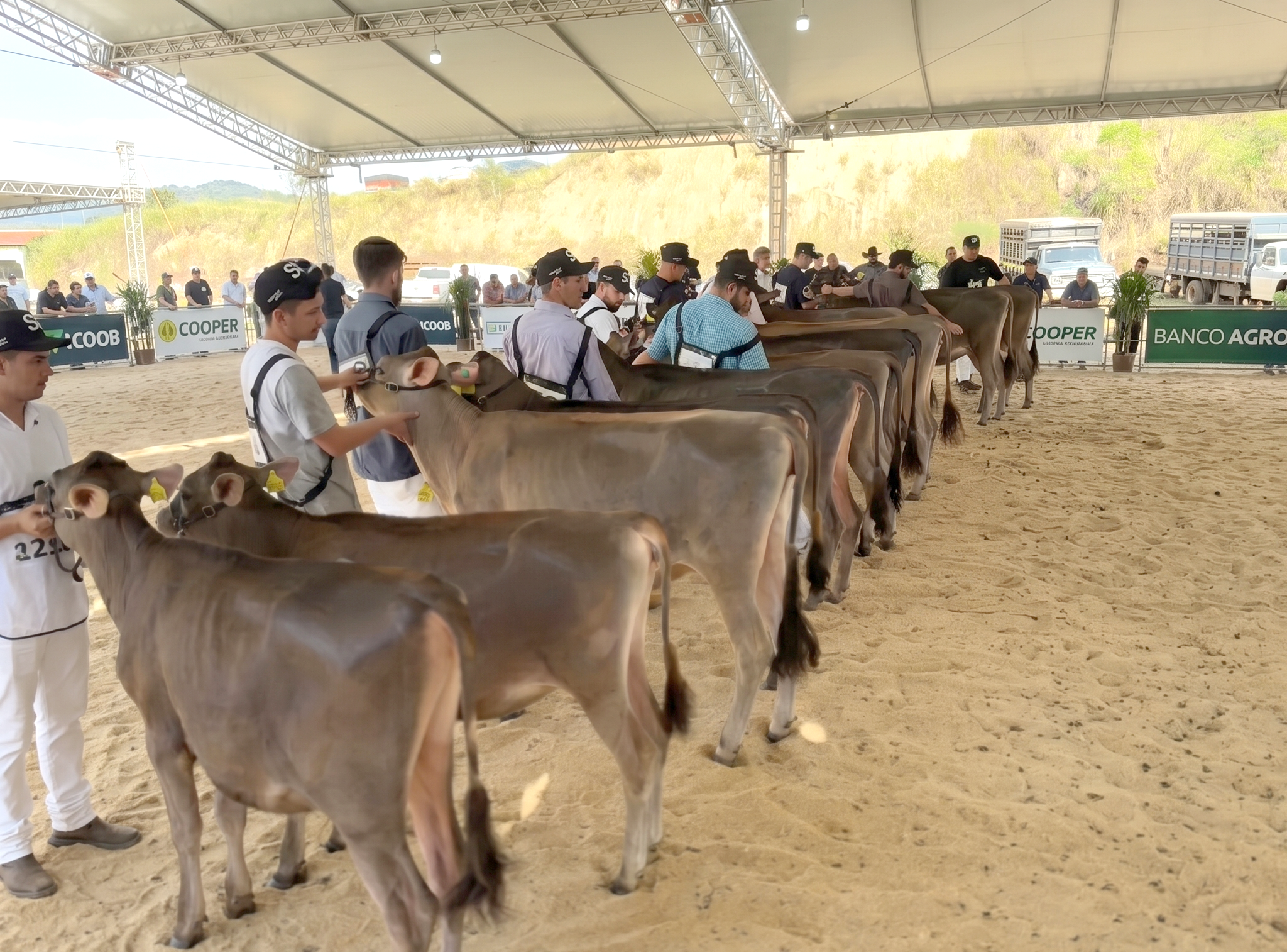 Atração FEAGRO